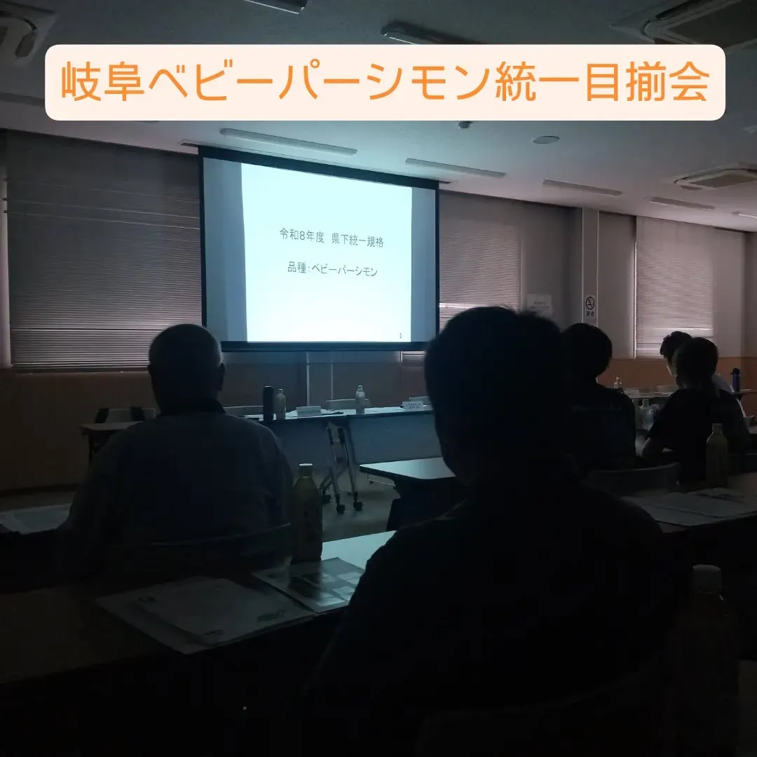 珍しい柿ベビーパーシモンの目揃会に行ってきました。